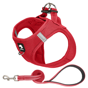 Alloy Dog Vest-Style Dog Leash for Small to Medium Sized Dogs Pet Traveling Outdoors Harness No-Stretch Normal Specification