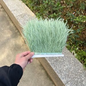 10M Ostrich Feather Trim Fringe 8-10cm Feather Ribbon for Dress Costume Crafts Wedding Party Stage Photography Decor Accessories