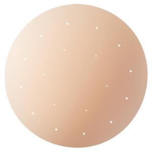 VCN| Invisible Thin Silicone Breast Petals