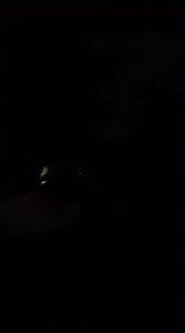 Senter Kepala LED 15W SYH L155C: Head Lamp Super Terang & Tahan Hingga 15 Jam