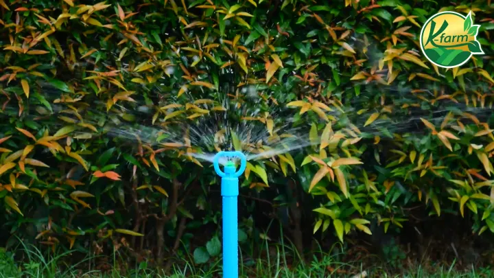 มินิสปริงเกอร์ K FARM ใบกันแมลง สวมท่อ 4 หุน แพ็ค 50 อัน ให้น้ำฝอยละเอียด