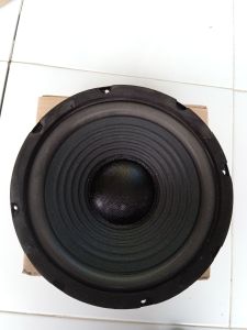 SPEAKER CANON 8" WOOFER 200w ampli