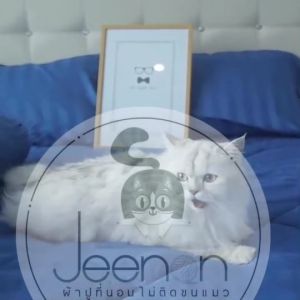 ผ้าปูที่นอน 3 ฟุต ผ้าปูที่นอน4ฟุต รัดมุม 1 ชุดได้รับ ปลอกหมอน ปลอกหมอนข้าง หนา8-10นิ้ว สีพื้นริ้ว