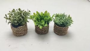 Cây Khuynh Diệp Nhân Tạo Dệt 11cm Màu Xanh Lá - Cây Cỏ Trang Trí Trong Chậu Bằng Nhựa Dùng Cho Nhà Cửa Và Triển Lãm Ngoài Trời