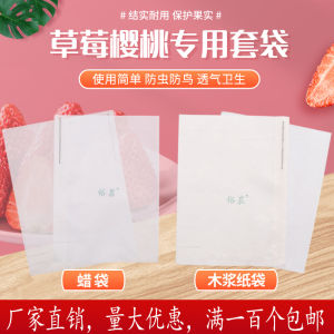 Rainproof Fruit Protection Paper Bag for Strawberries Cherries Crack Prevention Insect Resistance Cherry Blossom Gardening