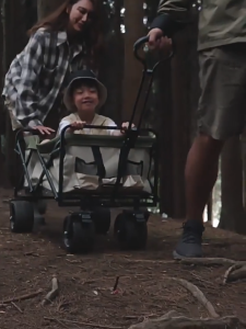 【YP】Multifunctional Foldable Trolley Wagon Family Picnic Beach Shopping Tool Trolley Carts Dog Cart