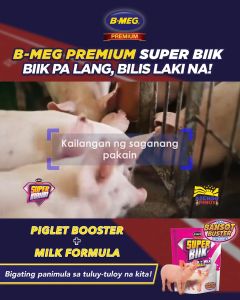 Super biik feeds 1 kg Super biik booster bmeg super biik for 5 days to 35 days old piglet