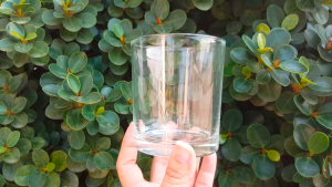 10.8oz Rock Glass/Whiskey/Cocktail/Beverage Glass/Dessert Glass