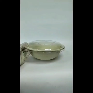 Biodegradable 700ml & 900ml Salad Bowl with PET Cover / Sugarcane Bagasse Bowl /Bio Takeaway Bowl
