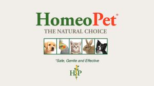 Homeopet - Nose Relief - Dung Dịch Hỗ Trợ Nhiễm Trùng Hô Hấp Cho Chó Mèo Giúp Đường Mũi Xoang Khỏe Mạnh