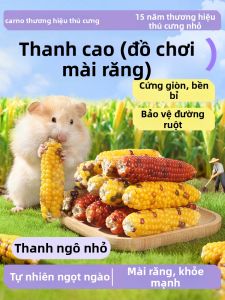 CARNO | Hamster Snack Toy Small Corn Teeth Rods Breadworms