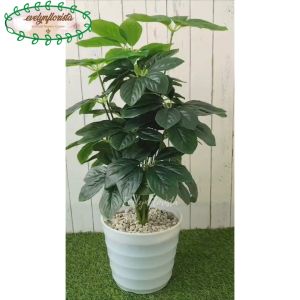 Dekorasi Ruang Kerja dengan Pohon Artificial Anubias & Pot Ulir Lovenia