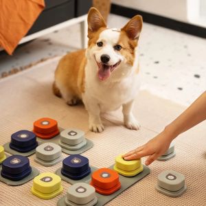 Interactive Dog Training Toy: A Comprehensive Guide