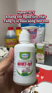Kháng thể Navet-Igy _ dành cho lợn kích thích hệ miễn dịch ngăn ngừa tiêu chảy và cải thiện tỷ lệ sống sót sau khi cai sữa.
