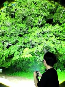 Newest 990000000LM High Power LED Headlamp Ultra Bright Head Torch Long Shot 5000M Headlight 18650 Camping Fishing Zoom Lantern