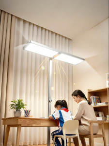 SHIPU | Eye Protection Study Floor Lamp