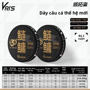 WEITUOSEN | Bộ Dây Cá Cho Cá Chép Bạc và Cá Mè Khoáng