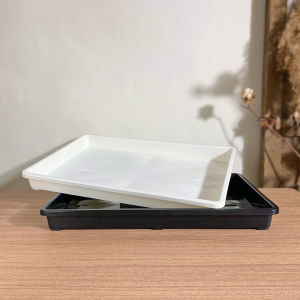 จานรองปลูกต้นไม้ Succulent ทรงสี่เหลี่ยมจัตุรัส ทำจากพลาสติก สีขาว จานรองแบบลึก จานรองสำหรับจัดระเบียบและเก็บของ