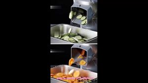 Máy thái công nghiệp đa năng thái lát thái sợi thái hạt lựu thương hiệu Mỹ cao cấp Septree - M1