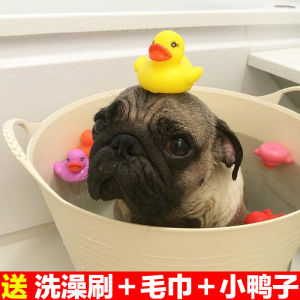 Bago Dog Bath Tub Small Breed Dog Wash Basin Cat Bath Tub Pet Grooming Tool Storage Bucket Dog Bed Toy Organizer Universal Size