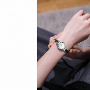 FUGUIJIAREN | Luxury New Waterproof Quartz Watch