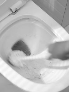 【SG stock】Disposable toilet brush Toilet cleaning brush Comes with cleaning solution Decontamination and fragrance retention