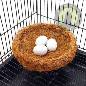 SEMPATI Serat Kelapa Cocofiber Sarang Susuh Burung Mainan Tempat Bertelur Lovebird Kenari Merpati Parkit Mainan Tempat Tidur Sugar Glider Hamster Iguana Tupai Marmut SBWBL