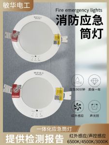 MinHua 220V Emergency Lighting Downlight Embedded Ceiling Spotlight LED Integrated 2.5 Inch 3 Inch 4 Inch Home Decor Lighting Sources