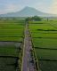 Suplier_idn