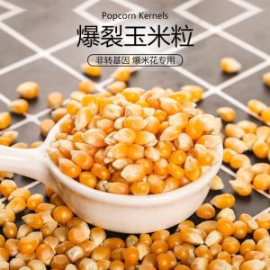 Popcorn Special Corn Spherical Burst Corn Homemade Popcorn Small Corn Bulk Corn Grain 1.00kg