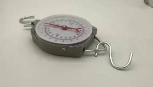 Portable Hanging Scale 25kg 50kg 100kg 150kg 200kg - There Has One Pair Hook Free