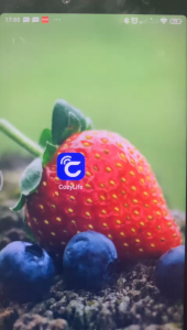 Smart PLUG WiFi Wireless (SEPAKET DENGAN TRAVEL ADAPTER) Smart Home