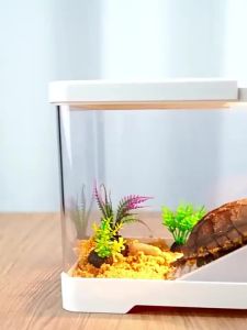 Mini Aquarium Turtle Tank: A Comprehensive Guide