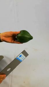 00990 ใบมีดตัดหญ้า​ 12*​3.5*​1.5​mm.​ ตราพระอาทิตย์​ ทำจากเหล็ก​ SK​ คม​ แข็ง​ พิเศษ​ ผลิตจากประเทศเยอรมัน