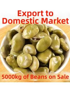 Soft Five-Spiced Broad Beans