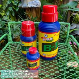 B-1 Thái Lan hiệu T-REX chuyên kích rễ phục hồi rễ yếu chai 100ml 500ml 1000ml