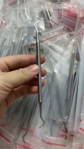 Cây trám đầu tròn đầu dẹt Pakistan