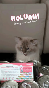 [Carton Deal] Holuah! Gravy Cat Wet Food Can w 10 Recipes in Tender Chunks (80g x 24cans/carton)