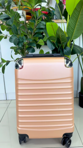 F&F: Moss Travel luggage bag 20"/24"inch/ plain travel suitcase beg/bagasi