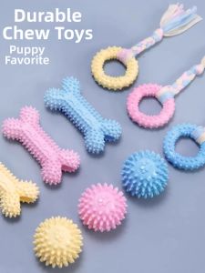 7o | Durable Chewing Toy for Puppies