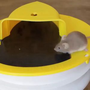 TOKO MASPUL-Jebakan Tikus Mouse Trap Flip Slide Bucklet Lid Perangkap Tikus Jumbo Perangkap Tikus Pembasmi Tikus-COD