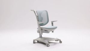 Sihoo K39 Ergonomic Computer Study Mesh Chair for Kids with 2-Year Warranty | Sihoo Official
