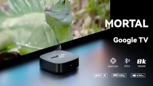 T1+ Android 14 TV Box Support Dual Band Wifi BT5.4 8K HD Video Max Memory 128GB Voice Remote Suitable for Home TV Media Playback