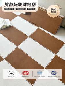 Carpet Antibacterial Plush Bedroom Full Coverage Floor Mat Living Room Childrens Floor Mat Easy Cleaning Machine Washable