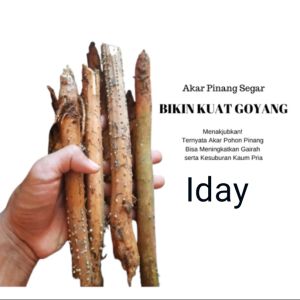 akar pinang segar 250g akar pohon pinang/jambe obat herbal udah terpercaya