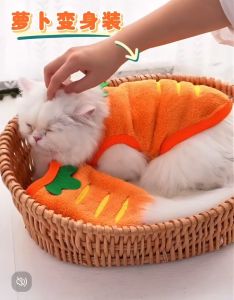 ÁO CÀ RỐT DỄ THƯƠNG CHO THÚ CƯNG CHÓ MÈO