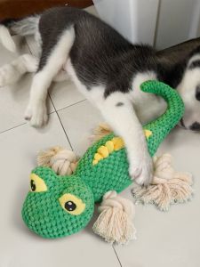 HOOPET | Durable Interactive Pet Chewing Squeaky Toy