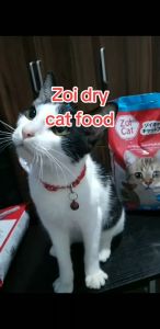 1kg Zoi Cat Dry Food All Stages Adult Kitten Boosts Immunity Crunchy Kibble Cat Cats Pet Dry Food