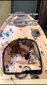 Kandang kucing Tenda kucing kandang kucing kasur kucing tenda hewan peliharaan kucing anjing
