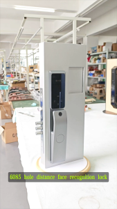 Waterproof Smart Lock Smart Biometric Door Lock Fingerprint Unlock Automatic Digital Electronic Lock